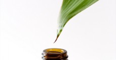 iStock_000006979276XSmoyen